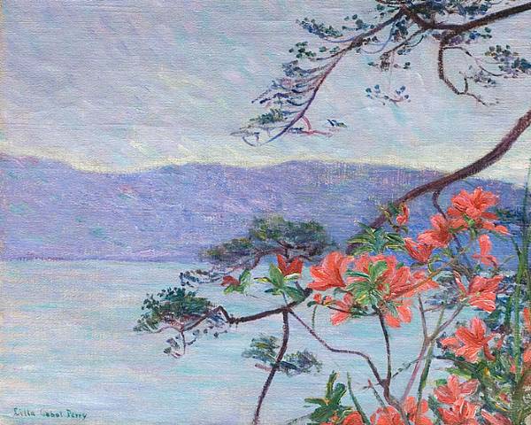 Suruga Bay, Azaleas,